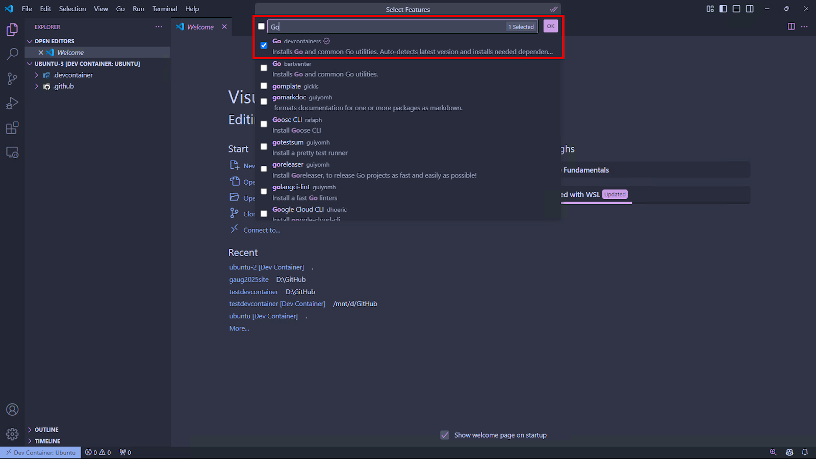 VS Code dev container setup