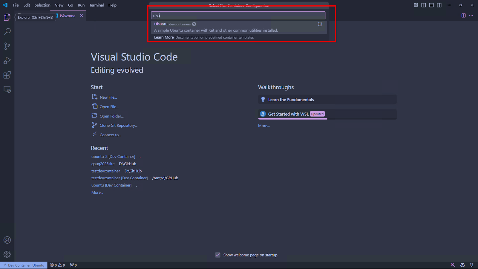VS Code dev container setup